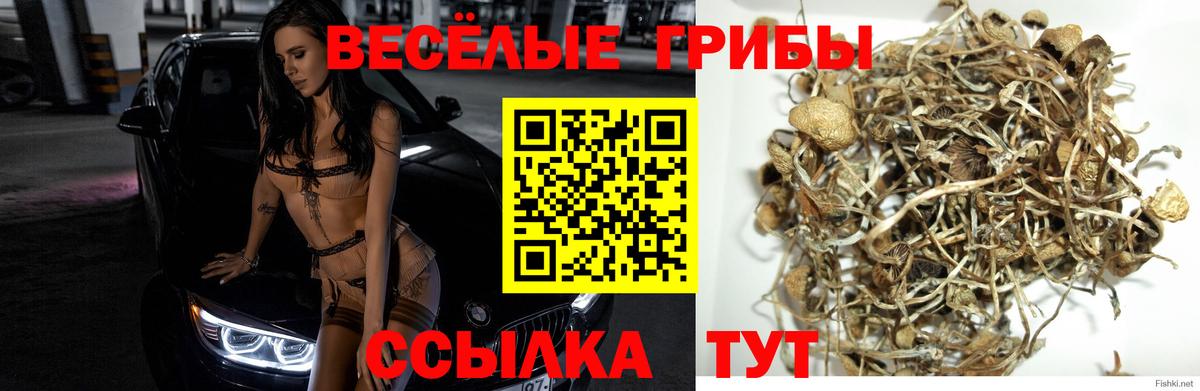 Канабис  Вход с VPN  Гашиш  Жуковский  Alpha PVP СК   Как найти закладки?  ТГК  NBOMe  МЕФ   Cocaine 